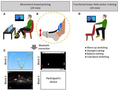 Feasibility and Acceptability of Game-Based Cortical Priming and Functional Lower Limb Training in a Remotely Supervised Home Setting for Chronic Stroke: A Case Series